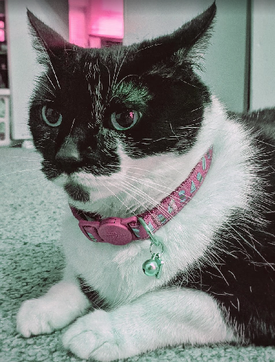 Custom transformer demo